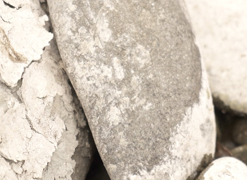 2023 SPRING / SUMMER